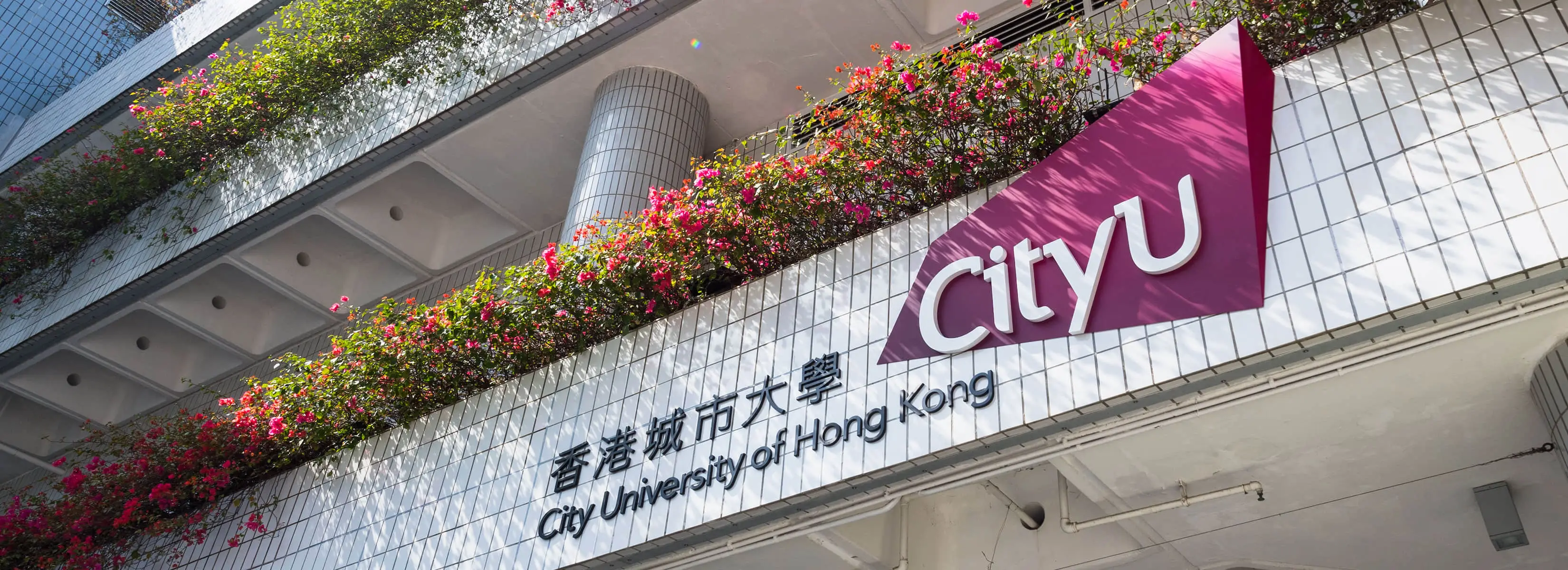 Welcome to CityU M Lab